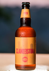 Cervejas Labanca Ipa e Apa (19).jpg