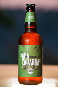 Cervejas Labanca Ipa e Apa (22) teste.jp