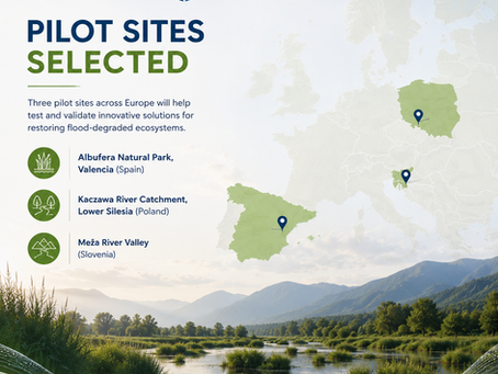 Pilot Sites Selected for Real-World Validation