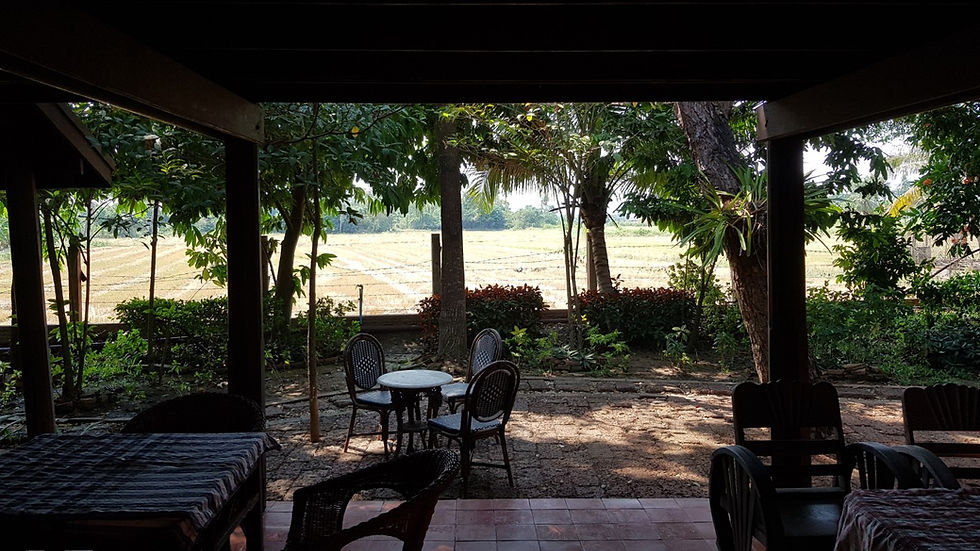 Coffee Havens Of Bangkok