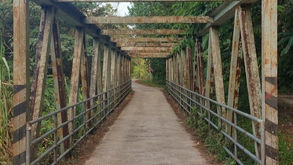 Pang Ah-Noi Waterfall & Hike - Tak