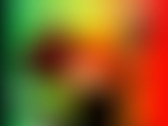 Afrika hapkido aha kuruluÅŸu