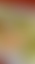 Chimichangas, Cantaritos & Creamy Jalapeño Sauce 