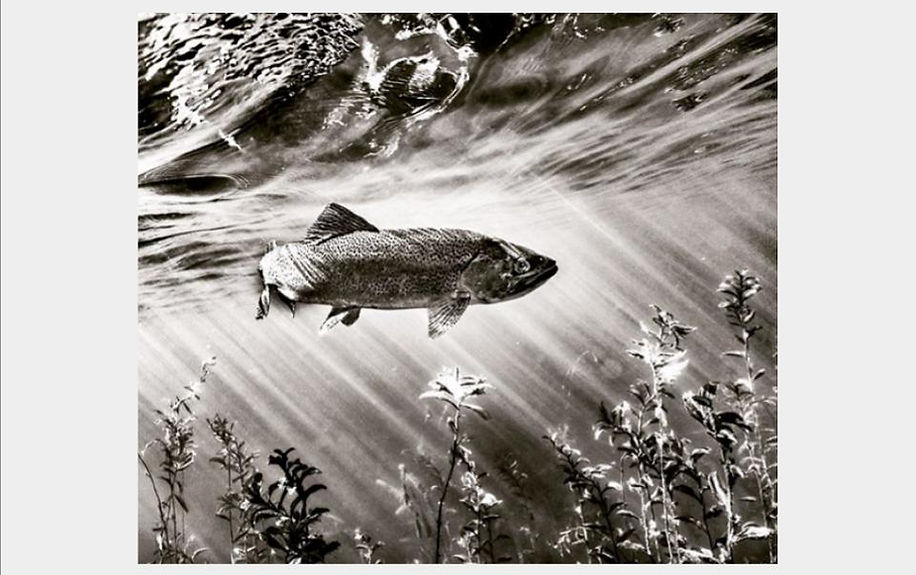 Image-empty-state_edited_edited_edited_e