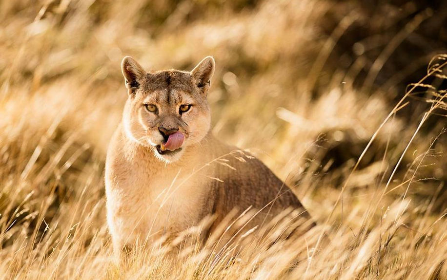 Image-empty-state_edited_edited_edited_e