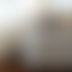 Deux chats dans une litière automatique PetSafe