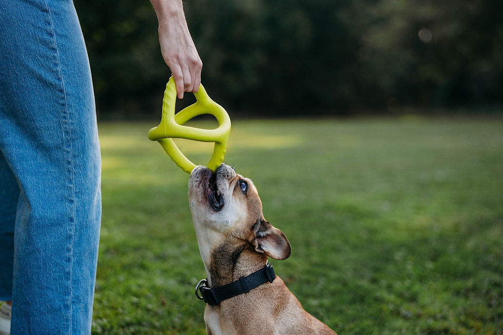 Miniature : BOUNCE TUG