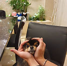 weverse_post_a644d945930d4d7089e4595626f