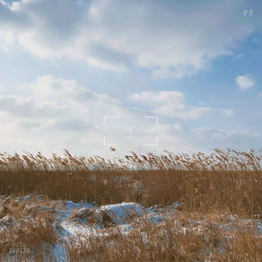 "Scenery" - Traduzione italiana