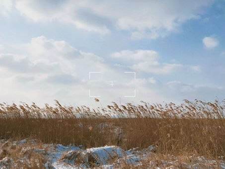 "Scenery" - Traduzione italiana
