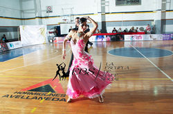 Baopen_-254