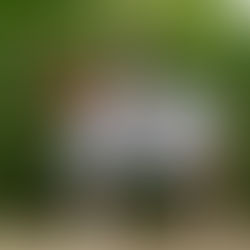 Der Deutsche Amateurmeisterschaftstitel im Dressurreiten geht nach Ostholstein