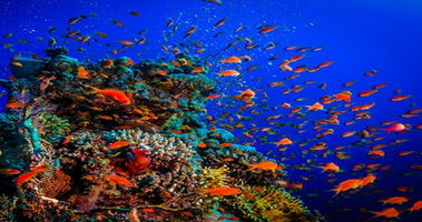 Cairo and Hurghada Holidays