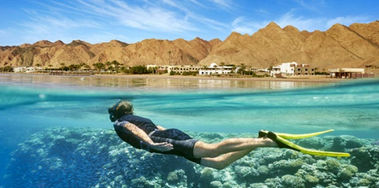 Cairo and Hurghada Budget Tours
