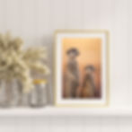Thumbnail: Keeping Watch