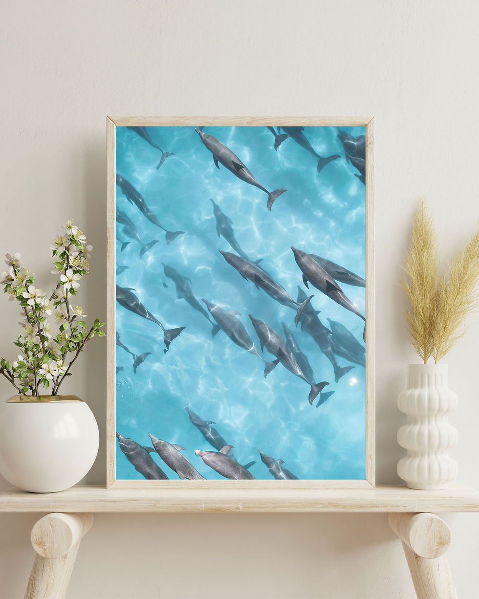 Thumbnail: Dolphins