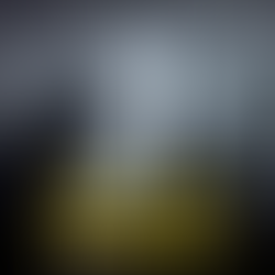 Revue sur les marchés 2025: Maintenir le cap