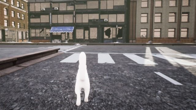 cat screen cap 3.gif