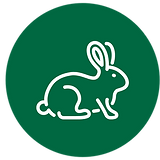 עיצוב ללא שם (7).png