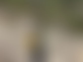 Frequently used resources in women's health