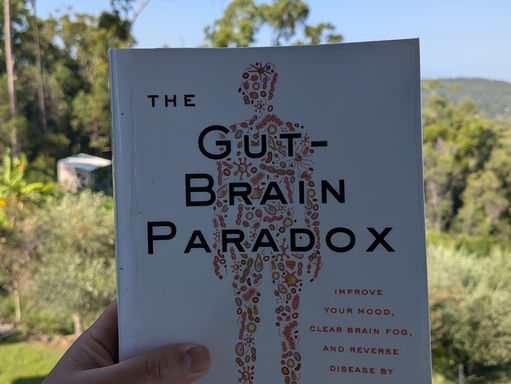 Book review on The Gut-Brain Paradox