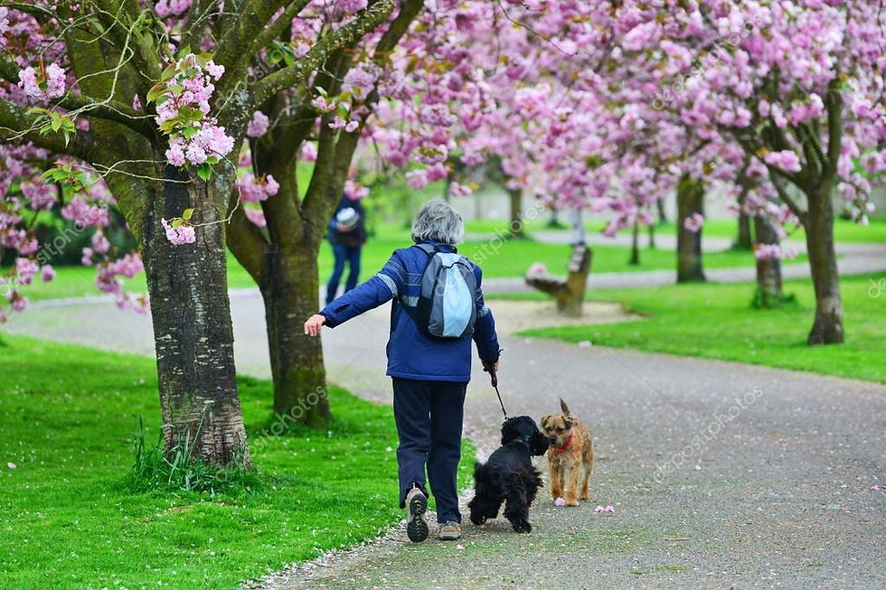 Why Spring Is the Best Time to Reset Your Nervous System