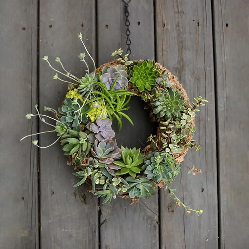 Succulent-Wreath.webp