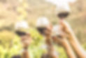 Hands toasting red wine glass and friends having fun cheering at winetasting experience -