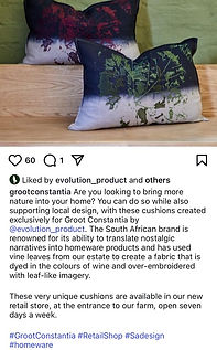 evolution social media post for groot constantia, writer tracy lynn chemaly