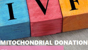 Singapour : La génétique relative, le don mitochondrial en débat