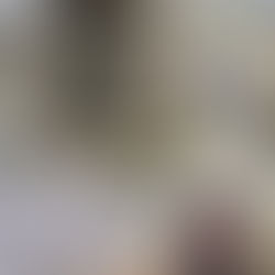 Los matices del italiano: tres voces de la península.