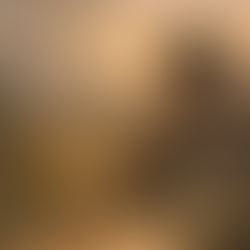 Imperdibili di primavera: tre libri da leggere in questa stagione