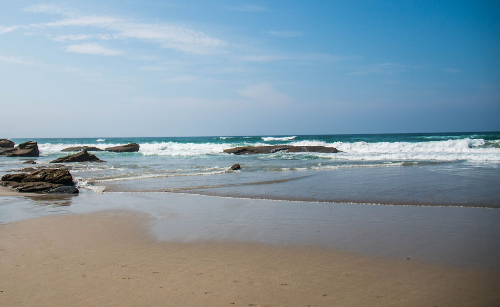 PLAYA