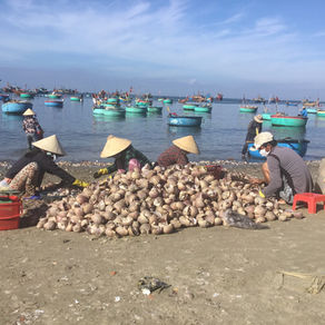 Phan Thiet - Mui Ne Ward