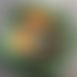 Nuoc mam - fiskesovs