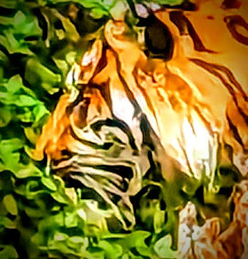 PXL_20231009_201923970~2-EDIT.jpg