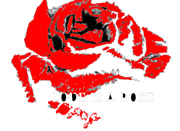 Love is a rose