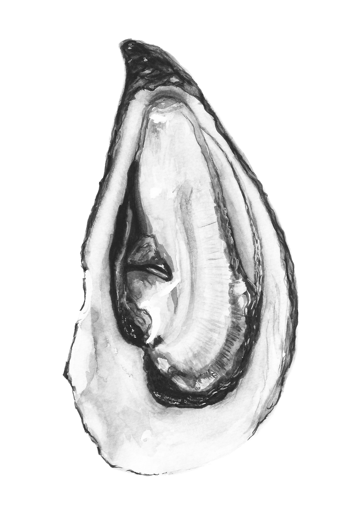Untitled_design.zip_-_7 2.png