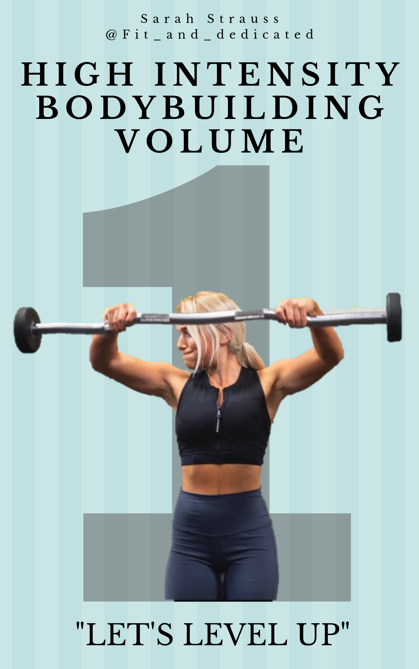 High Intensity Bodybuilding Guide