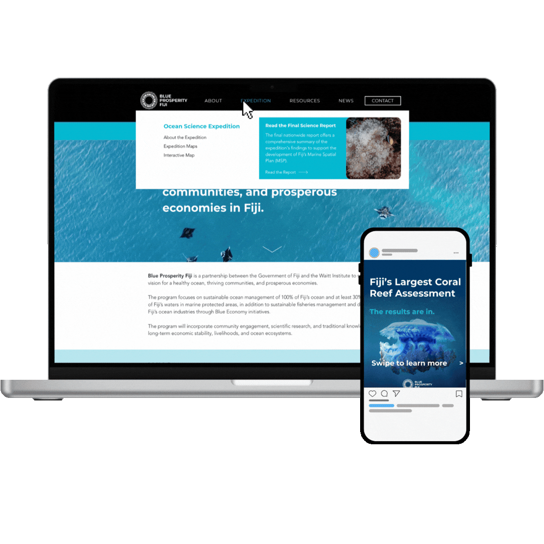 Website+Social (4).gif