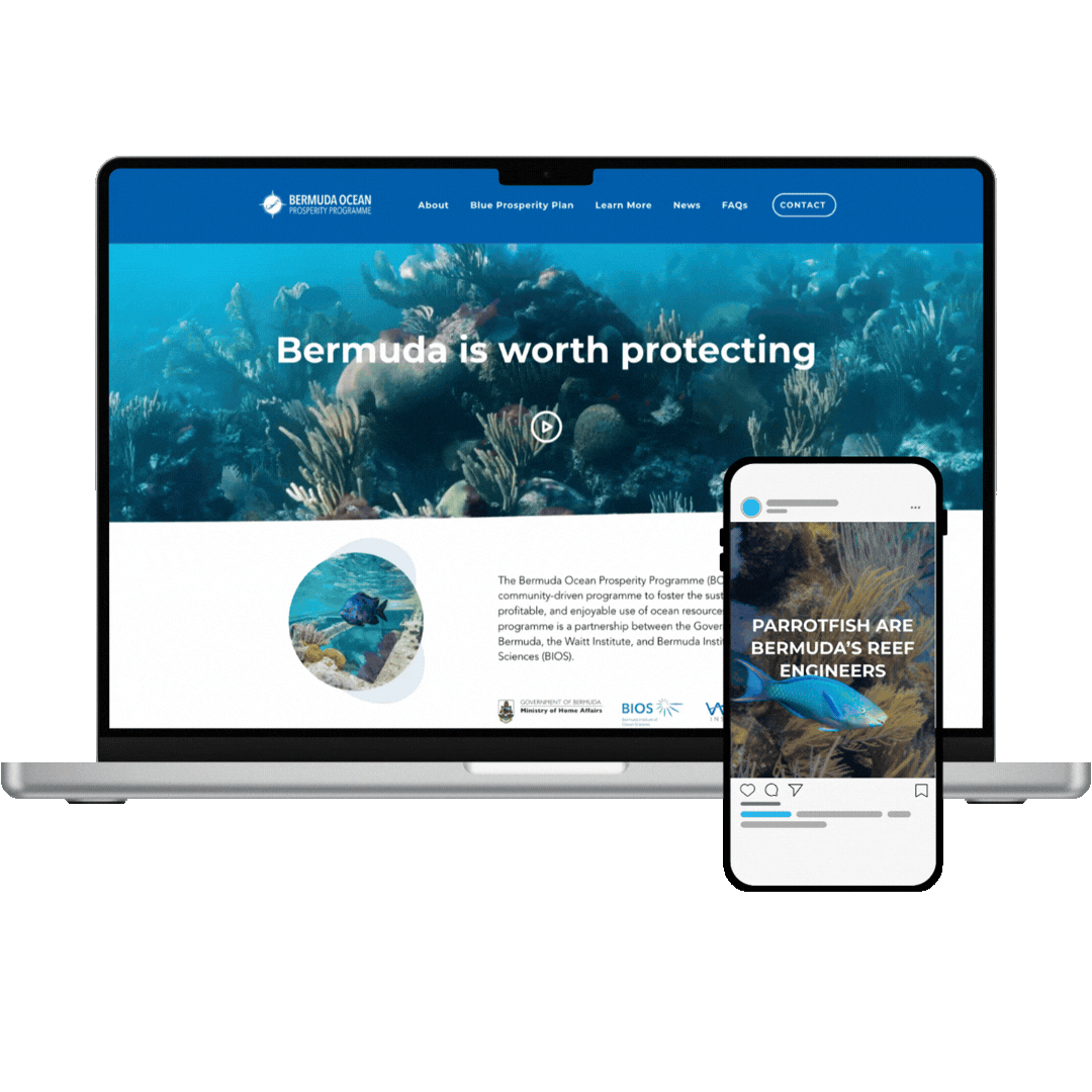 Website+Social (1).gif