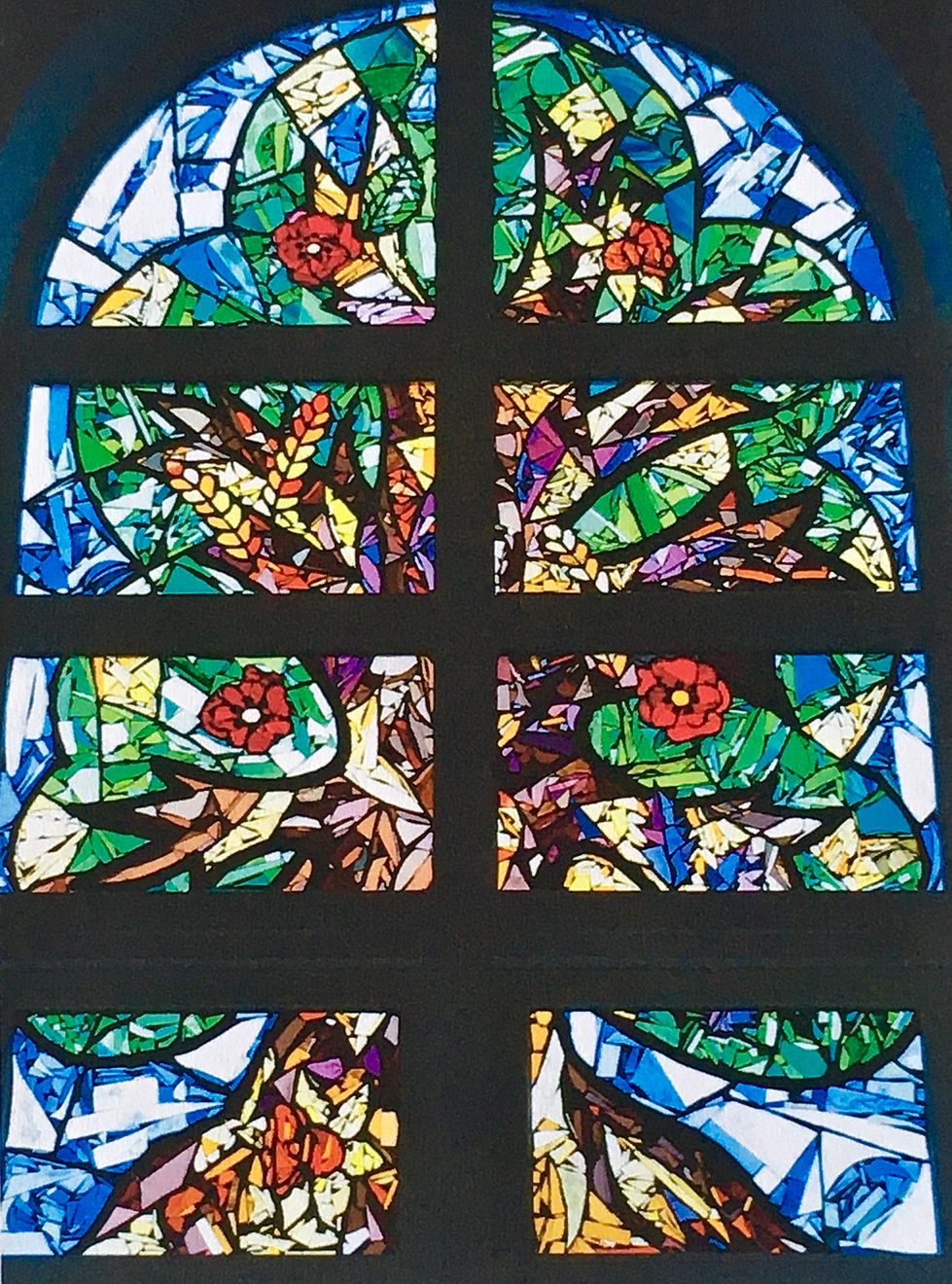 Window (2)