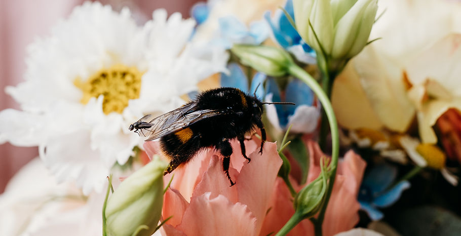 Bee on Wedding Flowers_edited.jpg