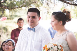 Bodas