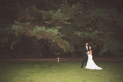 Bodas