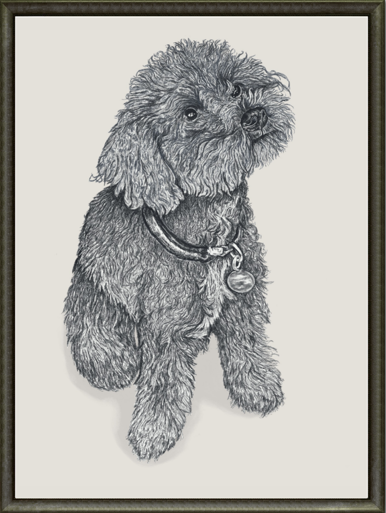 Dog Portrait - Gunner