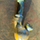 Thumbnail: Dry Peace