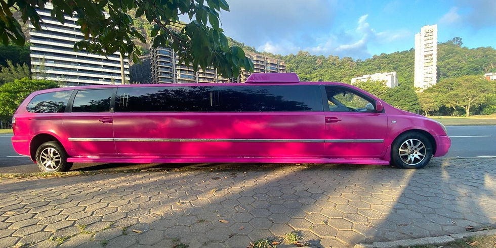 Limosina Rosa LIMOUSINES | Baladamovel