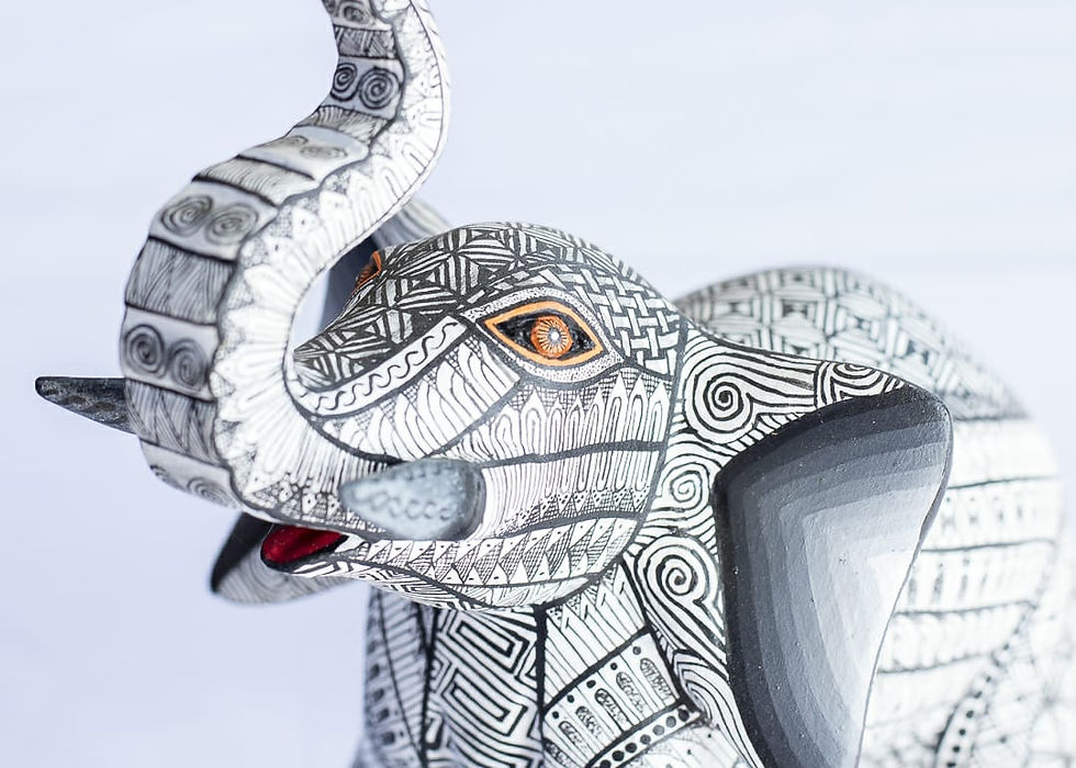 Miniatura: ELEFANTE BLANCO Y NEGRO