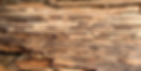 carpenter_ant_damage.jpg